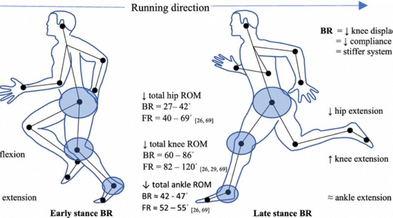 Backwards 3: The Concept, Impact, and Influence of Reverse Movement